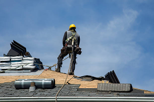 Professional Roofing technician working in Elizabeth, MN